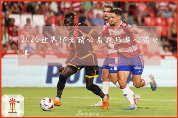 2026世界杯竞猜必看技巧与心得分享