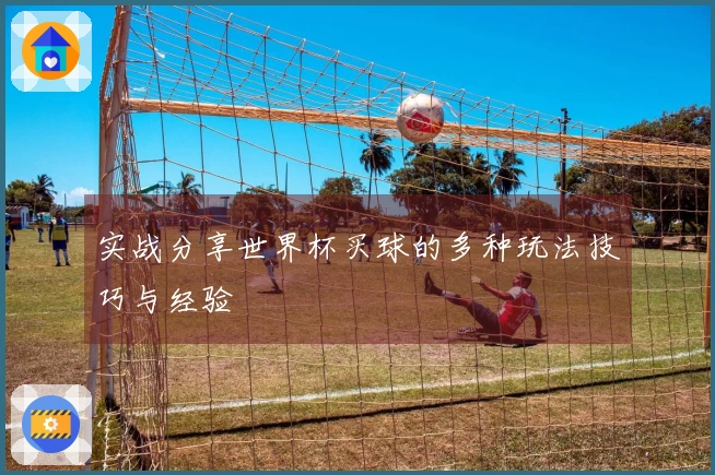 实战分享世界杯买球的多种玩法技巧与经验