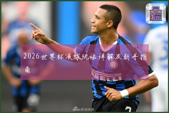 2026世界杯滚球玩法详解及新手指南